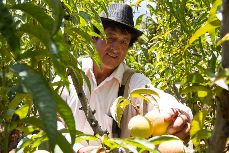 Peru_Cheves 5.jpg